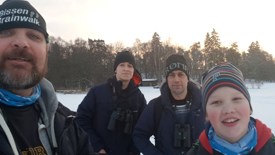 Månadens fåglar – januari 2018