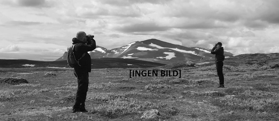 Ingen bild
