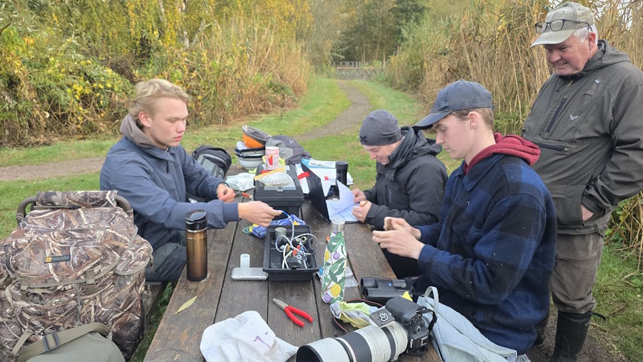 Månadens fåglar – oktober 2025