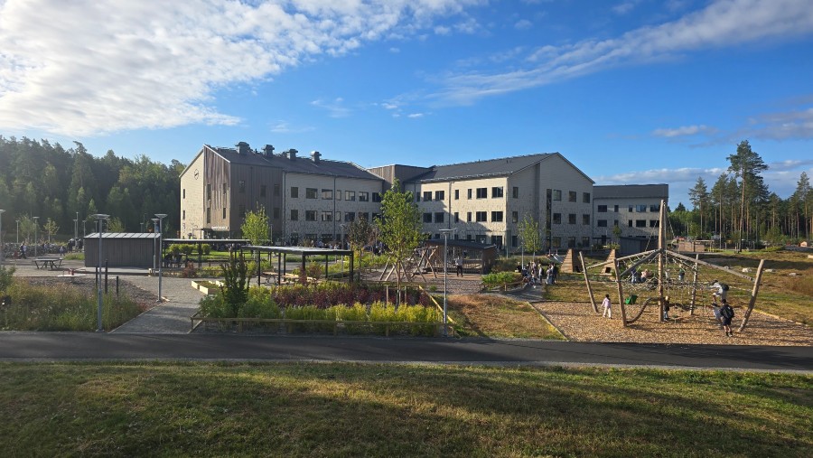 Månadens fåglar – augusti 2026