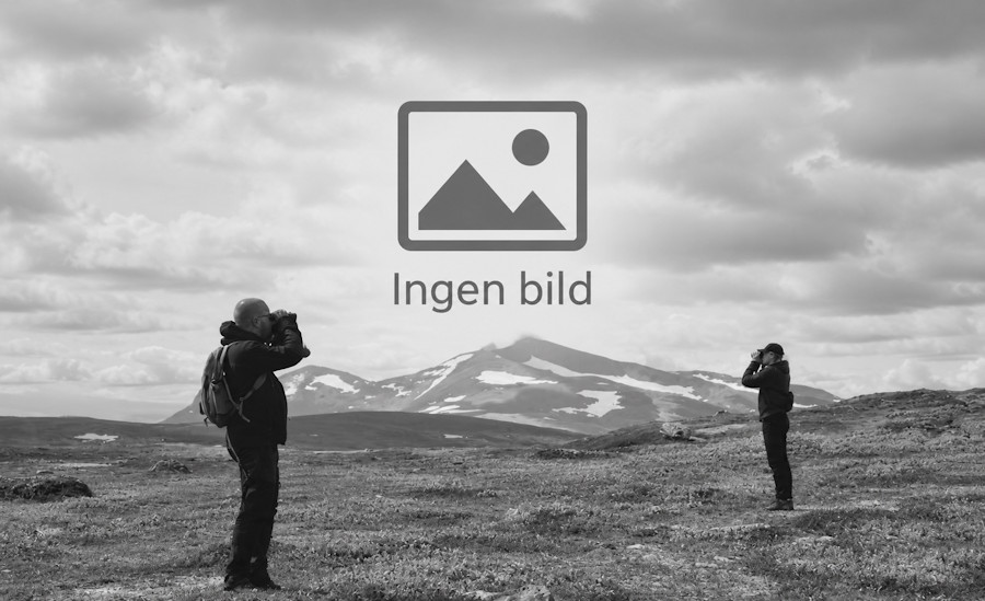 Ingen utvald bild