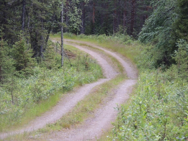 Blåstjärt efter tre försök