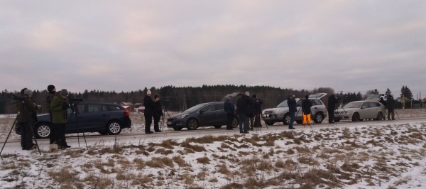 Månadens fåglar – Februari 2017