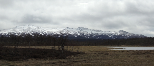 Dag 2 i Härjedalen